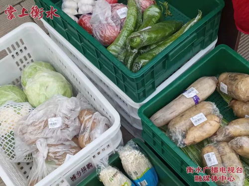 美麗河北 e起過年——故城品牌農產品進社區，稱心年貨送上門